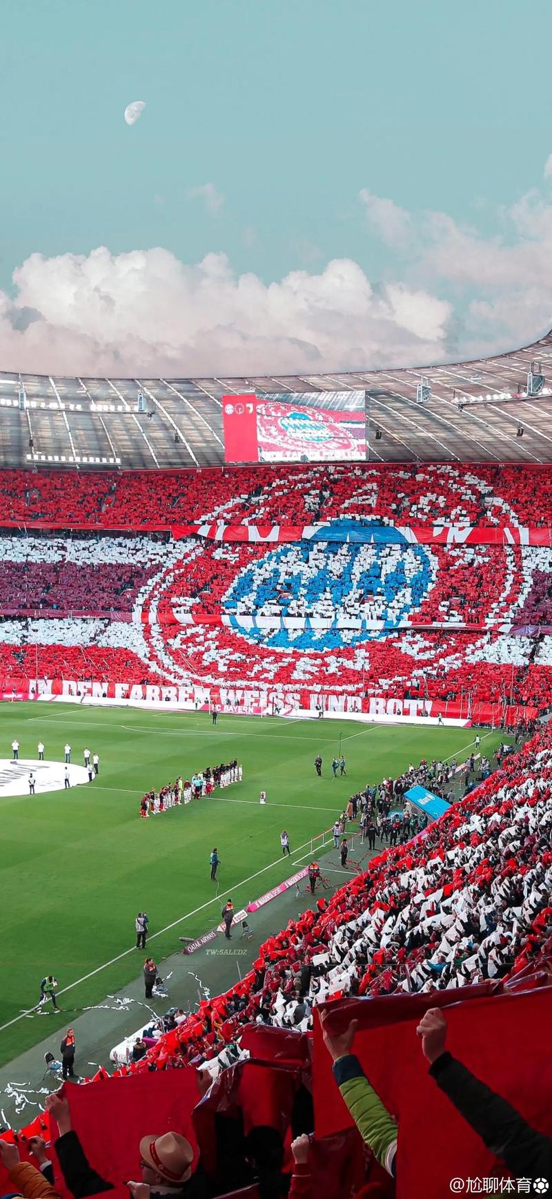 太攀蛇官方：队内得分王麦克维由于孩子出生，缺席今日对阵老鹰