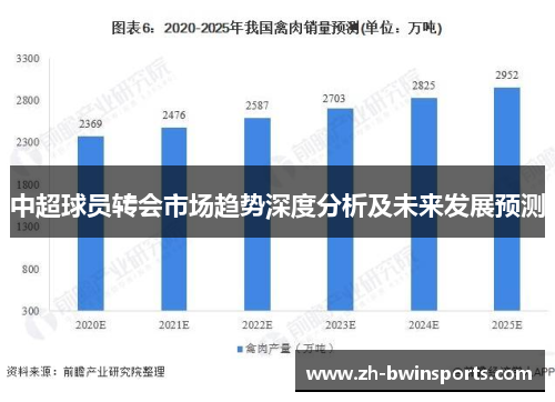 中超球员转会市场趋势深度分析及未来发展预测